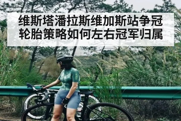 维斯塔潘拉斯维加斯站争冠轮胎策略如何左右冠军归属