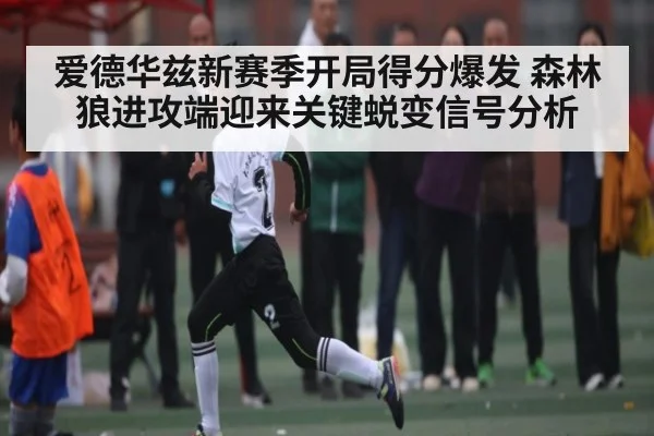 爱德华兹新赛季开局得分爆发 森林狼进攻端迎来关键蜕变信号分析